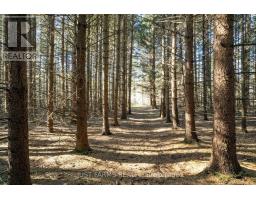 6646 LAKESHORE ROAD - 10