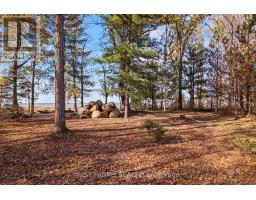 6646 LAKESHORE ROAD - 5