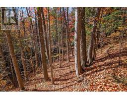 6646 LAKESHORE ROAD - 8