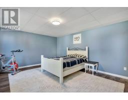 42549 SPARTA LINE - 25