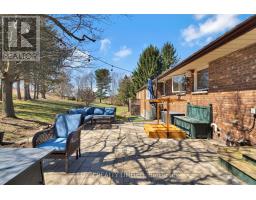 42549 SPARTA LINE - 37