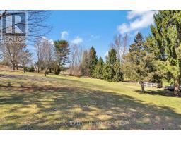 42549 SPARTA LINE - 39