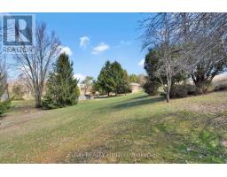 42549 SPARTA LINE - 41