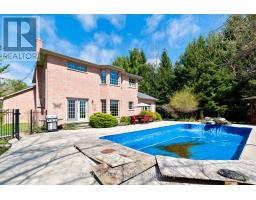 46485 SPARTA LINE - 35