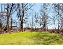 46485 SPARTA LINE - 40