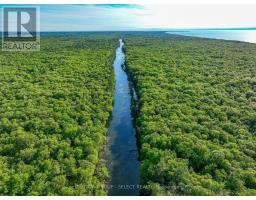 10142 PINERY BLUFFS ROAD - 24