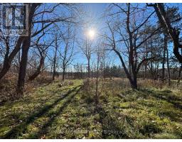 1343 SUNNINGDALE ROAD E - 4