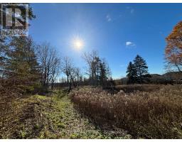 1343 SUNNINGDALE ROAD E - 6