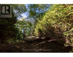 71658 OLD CEDAR BANK LANE - 38