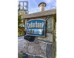 71658 OLD CEDAR BANK LANE - 43