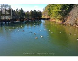 15060 NINE MILE ROAD - 21