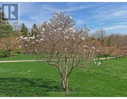 15060 NINE MILE ROAD - 27