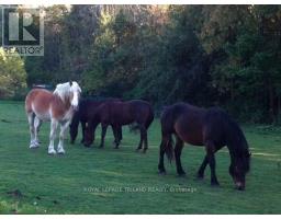 24909 QUEENS LINE - 17