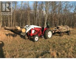 24909 QUEENS LINE - 19