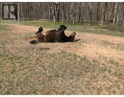 24909 QUEENS LINE - 21