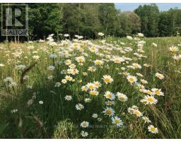 24909 QUEENS LINE - 23