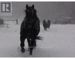 24909 QUEENS LINE - 28