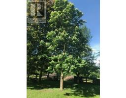 24909 QUEENS LINE - 30