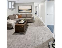 56 COMPASS TRAIL - 24