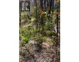 10267 DANIEL AVENUE - 4