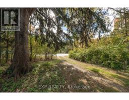 11294 LONGWOODS ROAD - 31