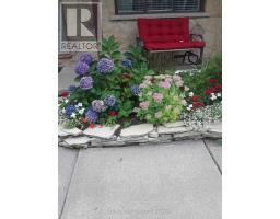 589 ELM STREET - 45