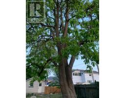 114 FRONT STREET W - 31