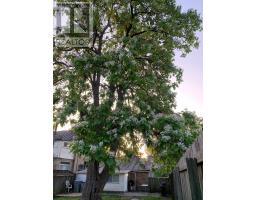 114 FRONT STREET W - 34