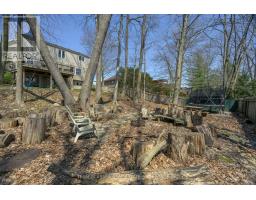 51 BIRCHCREST DRIVE - 49