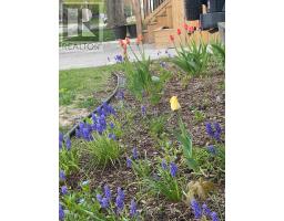 124 CHESTERFIELD AVENUE - 26