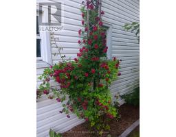 156 MAPLE STREET - 26
