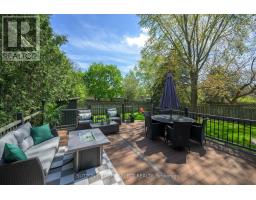 19 DONNYBROOK ROAD - 8