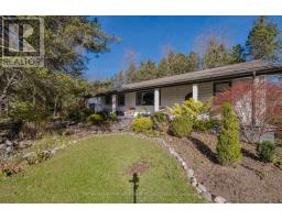 11 ELMHURST STREET - 6