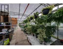3862 TRAFALGAR STREET - 29