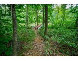 9919 PINERY LANE - 4