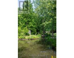 3069 COLTSFOOT DRIVE - 7