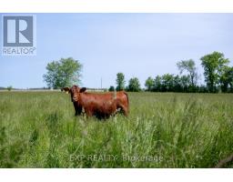 3069 COLTSFOOT DRIVE - 8