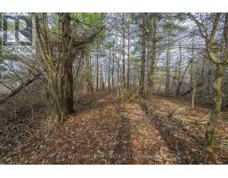 A22 - 4838 SWITZER DRIVE - 17