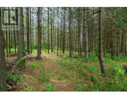 837 LONGWOODS ROAD - 10