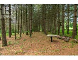 837 LONGWOODS ROAD - 38