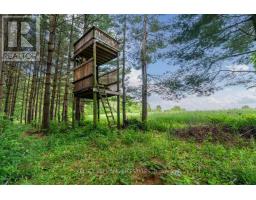 837 LONGWOODS ROAD - 8