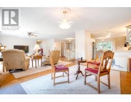 25189 GRAY LINE - 13