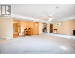 25189 GRAY LINE - 26