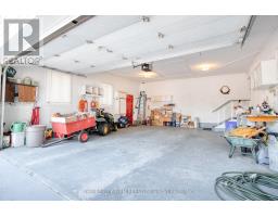 25189 GRAY LINE - 35