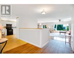 25189 GRAY LINE - 5
