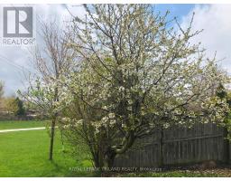 41 GREYROCK CRESCENT - 45