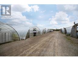3862 TRAFALGAR STREET - 9