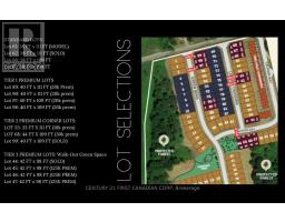 4324 CALHOUN WAY - 3
