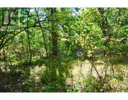 10271 MARY AVENUE - 33