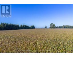 29182 ZONE 4 ROAD - 30